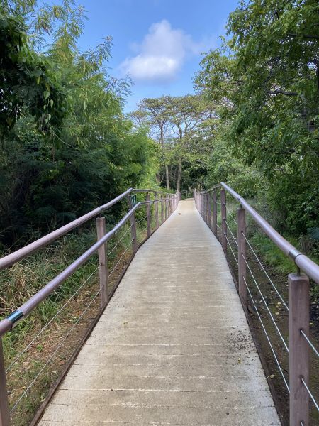 Cost of Footpath Construction in Norristown