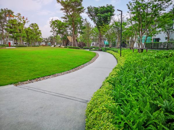 Cost of Cement Walkway Service in Norristown