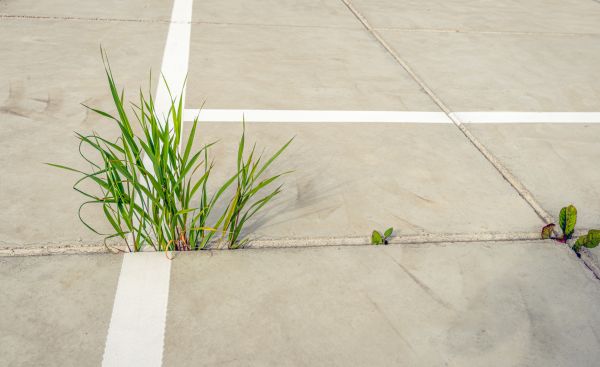 Cost of Concrete Parking Installation in Norristown